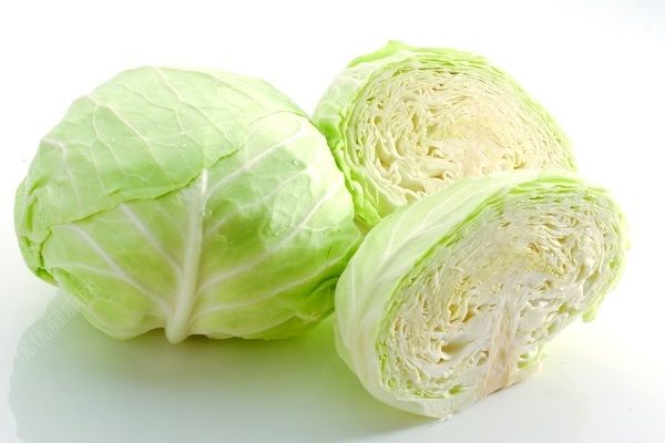 新鲜【高丽菜】卷心包菜/手撕包菜专用 450g